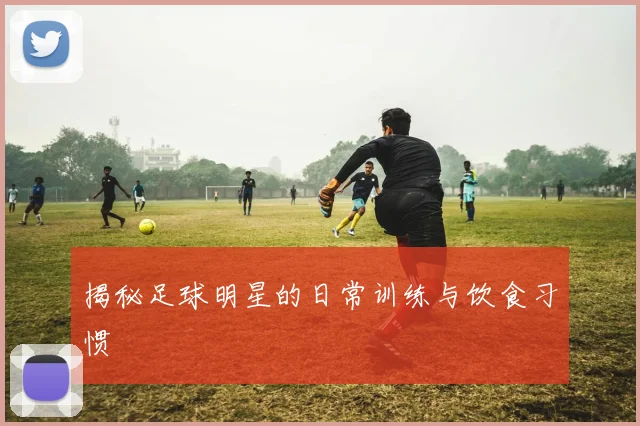 揭秘足球明星的日常训练与饮食习惯